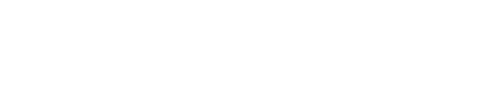 Primfeed logo